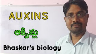 Auxins class 12 From Bhaskars biology [upl. by Akiram]