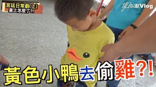 宮廷日常劇上皇上怎麼了YA叫獸Vlog [upl. by Theo392]