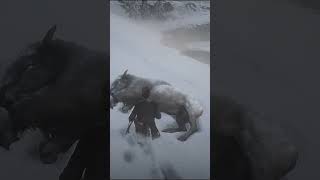 Lokasi bison putih RDR2 legendary white bison rdr2 rdr2 shorts [upl. by Secnarfyram]