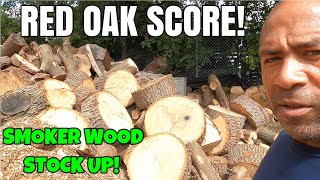 RED OAK SCORE AT THE TREE SERVICE FIREWOOD [upl. by Goldman635]