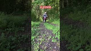 XLR250R md22 [upl. by Lorna]