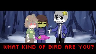 What kind of bird are you undertale Chara [upl. by Chevy]