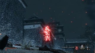 Sekiro Demon Of Hatred No Damage Sword Only [upl. by Lumpkin]