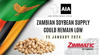 LOW Zambian Soybean Supply  25 Jan 2024  African Agri Overview [upl. by Namaj654]