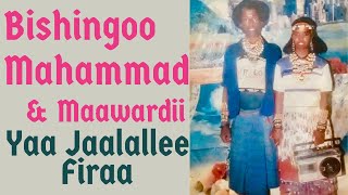 Yaa Jaalallee firaa  Bishingoo Mahammad amp Maawardii walin Walleelee Dhabaman Keeysaa ragaamedia​ [upl. by Chilton]