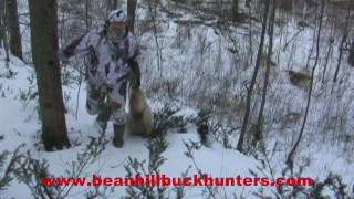 Eastern Coyote Hunting in Upstate New York late morning setup in the woods yields another dog [upl. by Roee]