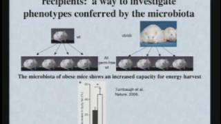 The World Within Us Microbes That Help and Harm [upl. by Aysa806]