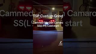 Cammed 5th Gen Camaro SSL99 Cold Start camaro racing [upl. by Verlie]