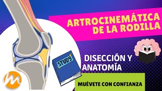 ARTROCINEMÁTICA DE RODILLA CON DISECCIÓN DE RODILLA [upl. by Narag]