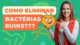 Fitoterápicos mais usados para tratar DISBIOSE INTESTINAL [upl. by Borer]