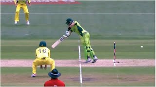 9 Times Ball Hit the Stump but NOT Out  When Bails DONT Fall OF [upl. by Nie]