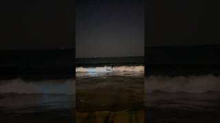 Quick Drop in On Some Bioluminescent Waves  Surfing 🏄‍♂️🌊😂 [upl. by Jaddan]