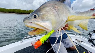 MONSTER Threadfin Salmon Fishing in Hervey Bay  Hervey Bay Fly and Sportfishing [upl. by Ahsinelg]