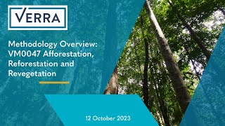 Methodology Overview VM0047 Afforestation Reforestation and Revegetation [upl. by Annaira914]