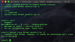 JShell use preview features of Java [upl. by Lenrow]