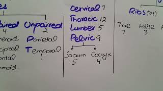 Chapter 16 2nd year Biology Human Skeleton MDCAT Fsc premedical BiologybyHira [upl. by Prady]