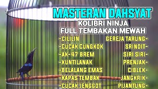 MASTERAN DAHSYAT KOLIBRI NINJA TERBAIK FULL MATERI TEMBAKAN COCOK BUAT PANCINGAN AGAR CEPAT GACOR [upl. by Vallie]