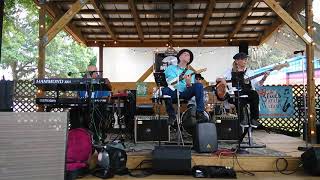 The Mudds Jazz amp Blues Band  HD Live  Blueberries amp Blues Festival  2019  A 3 PACK [upl. by Renie895]