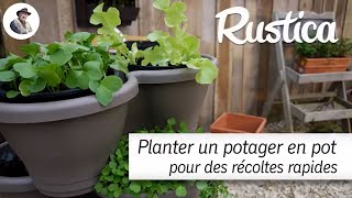 Un potager en pot pour des récoltes rapides [upl. by Gerson974]