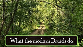 What do the modern Druids do [upl. by Eniroc]