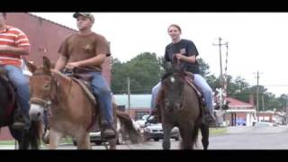 2009 Benson Mule Days [upl. by Liahus]