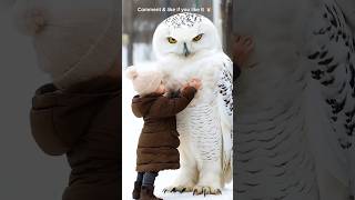 Amazing owl 🦉 in Real life shorts amazing owl [upl. by Enilesor299]