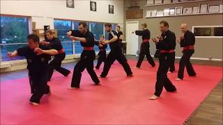 Pencak Silat training by Patrick Baas  Sam Lung Martial Arts 5 [upl. by Verity217]