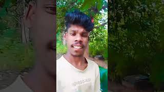 Desi kundru Sambalpuri reel treandingsambalpuri shortsfeed song [upl. by Aivata]