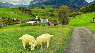 Switzerland countryside  Walking in the paradise  most beautiful places in Appenzellerland [upl. by Nevad19]