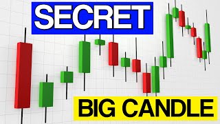 Secret of BIG Candles in Candlestick Charts  Option Chain Indicator  Rollover [upl. by Holbrook]