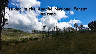 Hiking Apache National Forest  September 2024 [upl. by Shayna39]