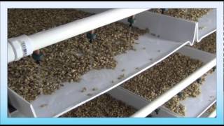 FarmTeks Fodder Tips  FodderPro 30 Commercial Feed System [upl. by Nahej]