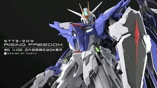 RISING FREEDOM GUNDAM BREAKER 4 [upl. by Dnama]