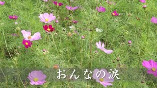 おんなの涙 八代亜紀 [upl. by Notsirt]