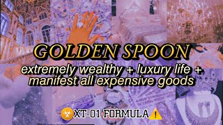 ❗ XT01 MONEY MAGNET ❗ EXTREME WEALTH amp LUXURY LIFE Subliminal Affirmations 💸 [upl. by Elonore]