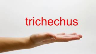 How to Pronounce trichechus  American English [upl. by Manon]