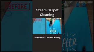 Carpet Cleaning Commercial [upl. by Abihsot]