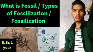 What is fossil  Types of fossil  Fossilization in hindi [upl. by Anaeel]