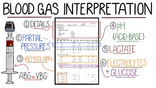 Blood Gas Interpretation Made Easy Learn How To Interpret Blood Gases In 11 Minutes [upl. by Neerom]