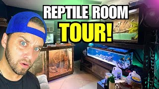 REPTILE ROOM TOUR JUNE 2024 Feeding All My Animals [upl. by Killian729]