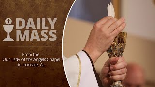 Catholic Daily Mass  Daily TV Mass  December 9 2023 [upl. by Anahahs]