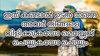 TRUE FEELINGS OF YOUR PARTNER 💖love malayalam tarotreading അവരുടെ ആഴമേറിയ വികാരങ്ങൾ [upl. by Charmane]