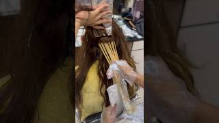 Beautiful Hair Highlights hair haircolor youtubeshorts shorts trending viralvideo [upl. by Aittam235]