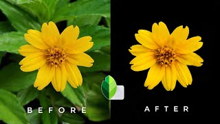 How to make background black in snapseed  how to black background in photo [upl. by Eniac]