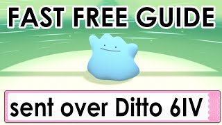 How To Get Shiny Ditto 6IV BDSP  Brilliant Diamond Shining Pearl Guide [upl. by Eileme]