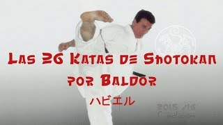 LAS 26 KATAS DE SHOTOKAN por Baldor ハビエル 1ª edición [upl. by Kessia]