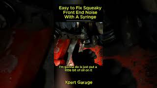 Easy to Fix Squeaky Front End Noise With A Syringeautomotive mechaniclife autoexpert XpertGarage [upl. by Lenod]