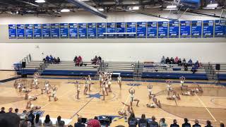 Sartell Dance Team Kick 2019 [upl. by Nnylidnarb]