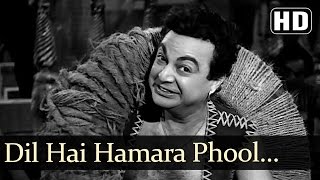 Dil Hai Hamara Phool Se Nazuk  Dara Singh  Faulad  Old Bollywood Songs  GS Kohli [upl. by Edorej]