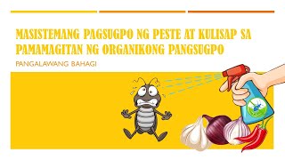 MASISTEMANG PAGSUGPO NG PESTE AT KULISAP NG MGA HALAMAN SA PAMAMAGITAN NG ORGANIKONG PANGSUGPO [upl. by Nagirrek542]